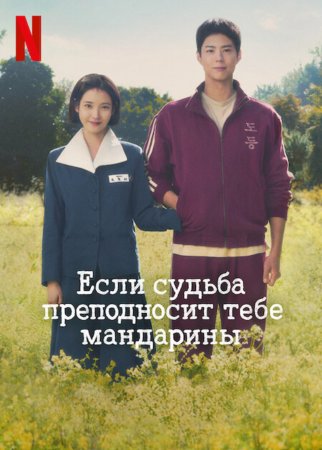 Когда жизнь даёт тебе мандарины