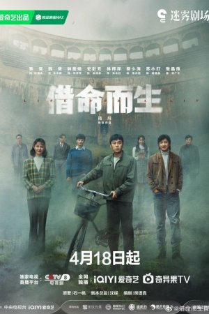 Белое оливковое дерево